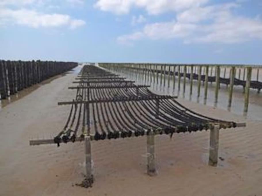 Maison Bord De Mer Individuel Gouville-sur-Mer Kültér fotó
